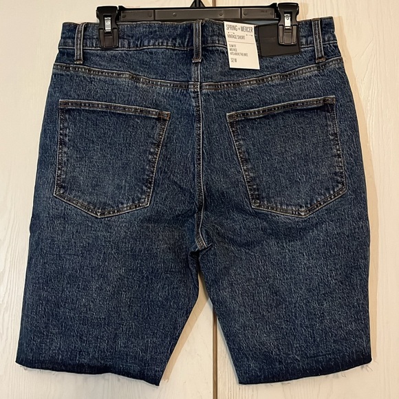 Mens Spring + Mercer Distressed Denim Shorts - Picture 3 of 7